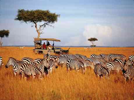 Scenic Kenya Safari Expedition